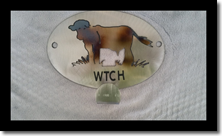 WTCH with Cow Single Coat rack